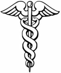 Infirmiere Sanary|300-358